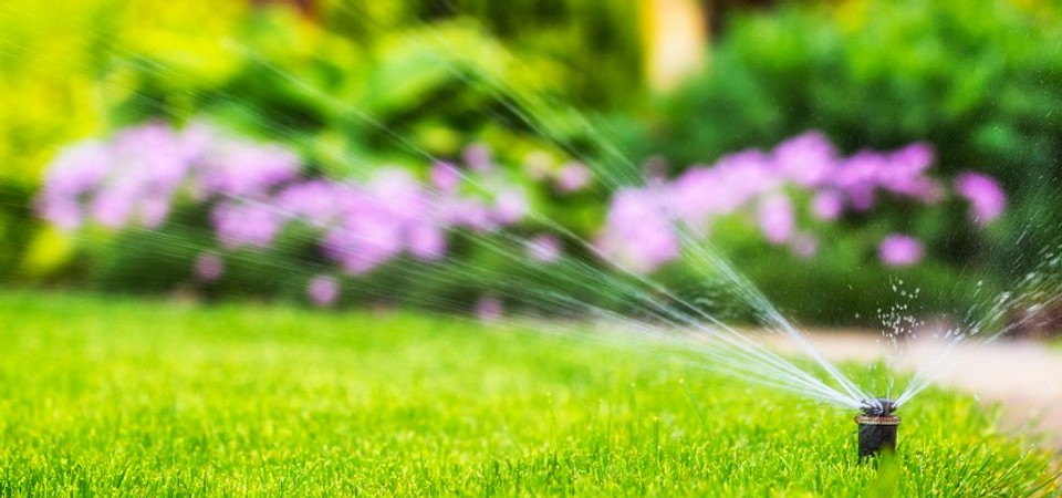 Різні типи дощувачів для ефективного поливу саду та городу в 2026 році.