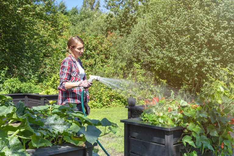 Секрети щедрого врожаю: ефективний полив городу у 2026 році. — Коли краще поливати рослини