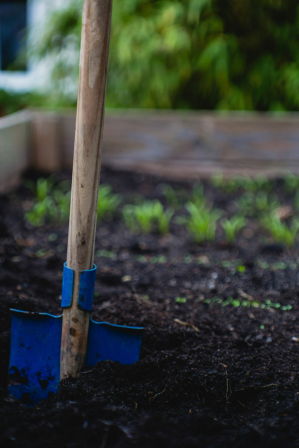 Перекопування городу восени: порівняння ручного та механізованого методів обробки ґрунту.