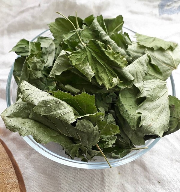 Заварювання смородинового чаю: насолода кожним ковтком ароматного напою з листя смородини.