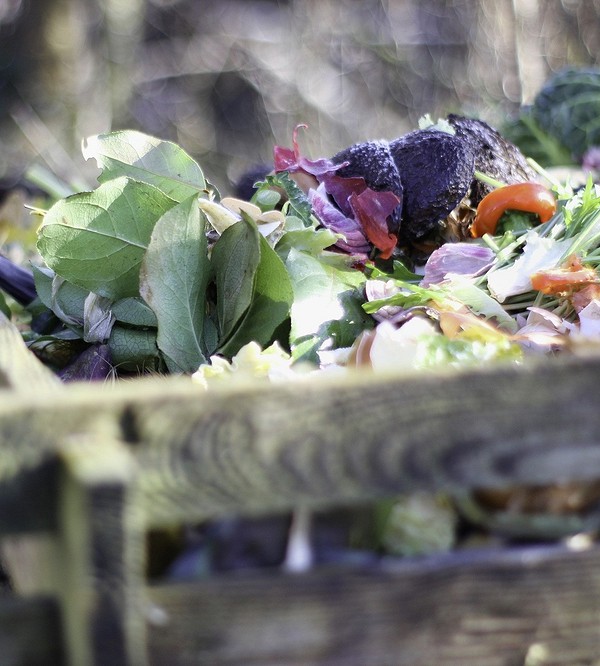 Переробка яблук: найкращі рецепти 2026 року, поради щодо зберігання та утилізації