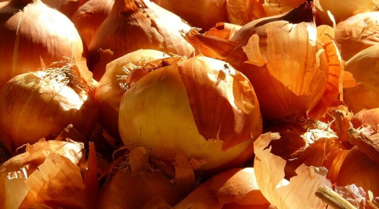 Лушпиння цибулі: секрети щедрого врожаю 2026 року — Лушпиння цибулі для городу