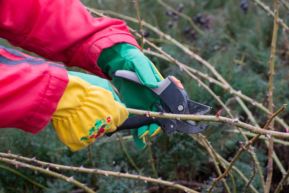 Місячний посівний календар на квітень 2026: планування робіт у саду та городі.