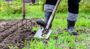 Місячний посівний календар на квітень 2026: Поради для багатого врожаю. — Місячний календар для саду та городу 2026