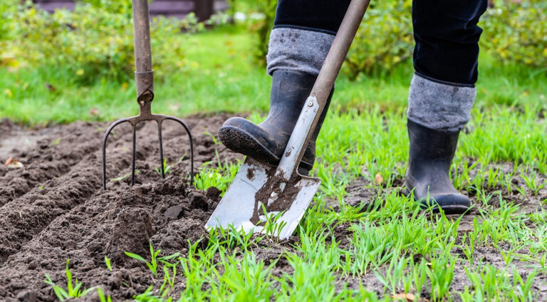 Місячний посівний календар на квітень 2026: Поради для багатого врожаю. — Місячний календар для саду та городу 2026