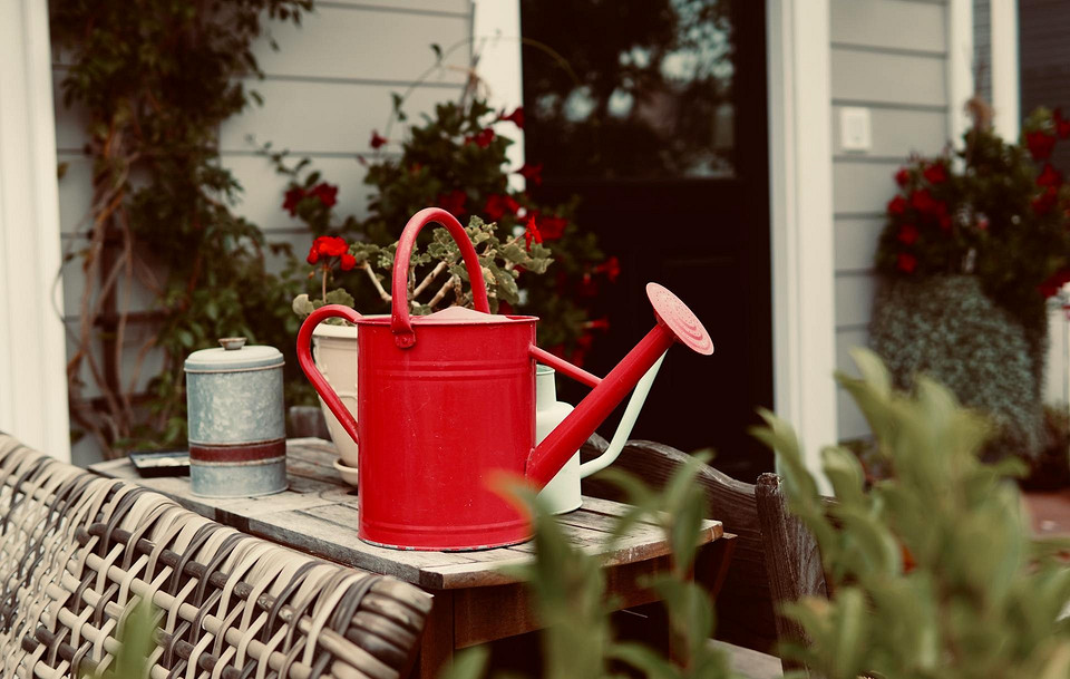 Місячний календар садівника з рекомендаціями на серпень 2024 року.