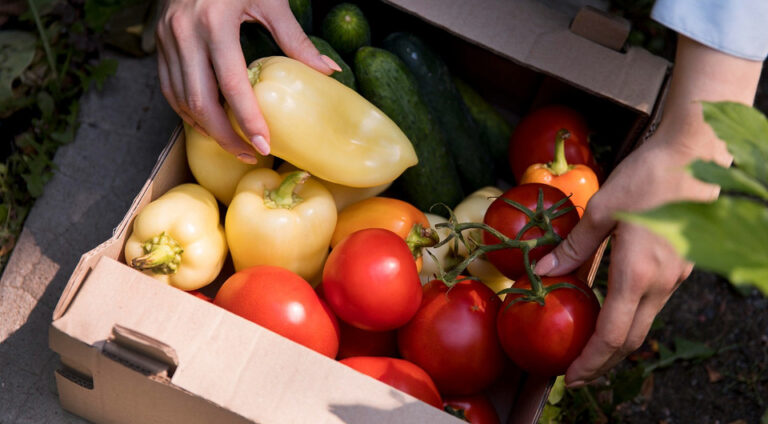 Коли збирати врожай: поради для українських садівників 2026 — Збір врожаю 2026