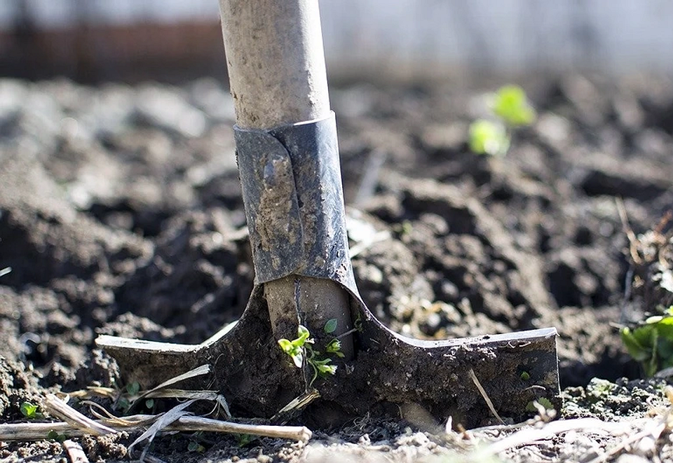 Готуємо дачу до зими Важливі етапи підготовки дачі до зими: прибирання, захист рослин та інвентарю.