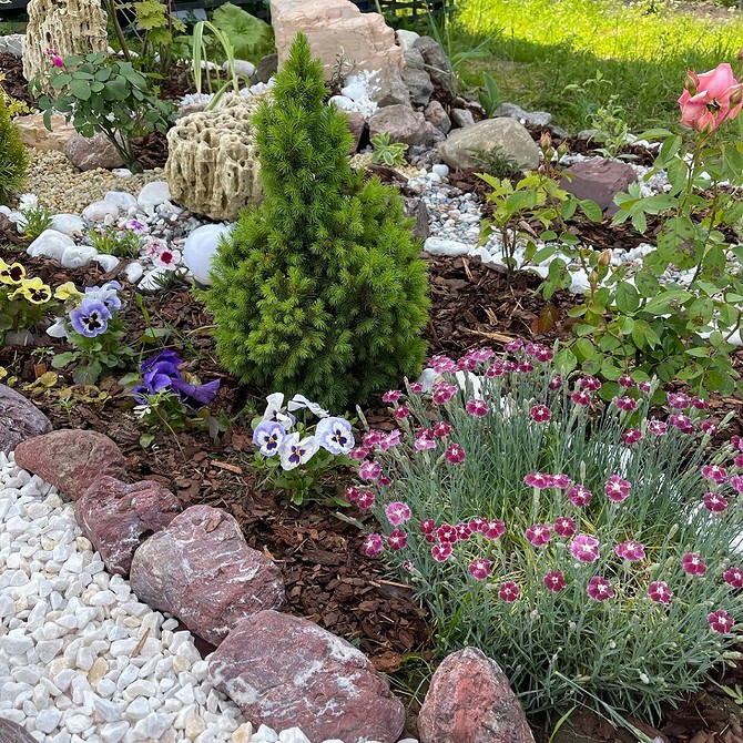 Клумба для невеликої ділянки Хвойна клумба на невеликій ділянці: компактні рішення для озеленення саду.