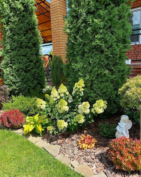 Клумба з хвойними рослинами: красиві ідеї та поєднання в ландшафтному дизайні саду.