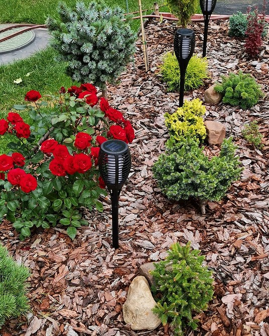 Рокарій з хвойними рослинами: створення красивого кам'янистого саду в 2026