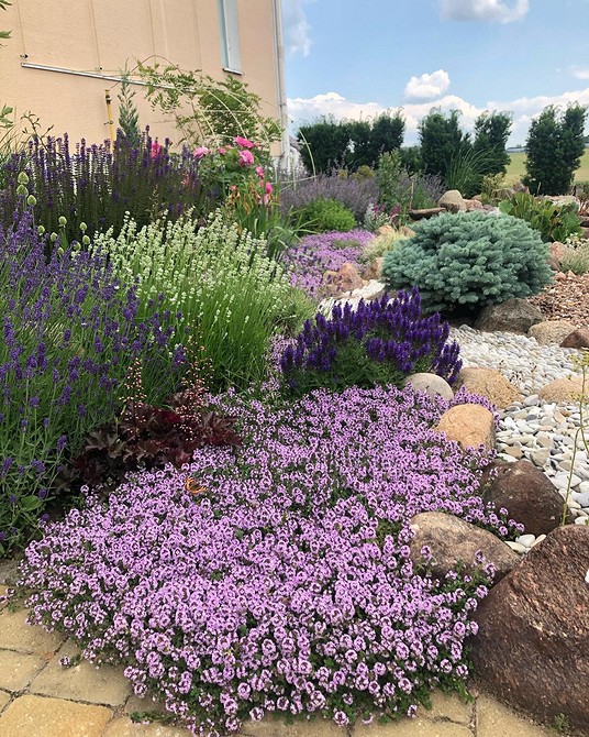 Ідеї для хвойної клумби Ідеї для створення хвойної клумби: поєднання кольорів та форм для гармонійного саду.