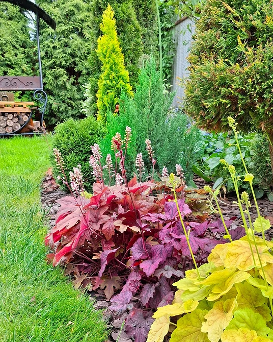 Клумба: хвойні та квіти Дизайн клумби з хвойниками та багаторічними квітами для саду невеликої ділянки