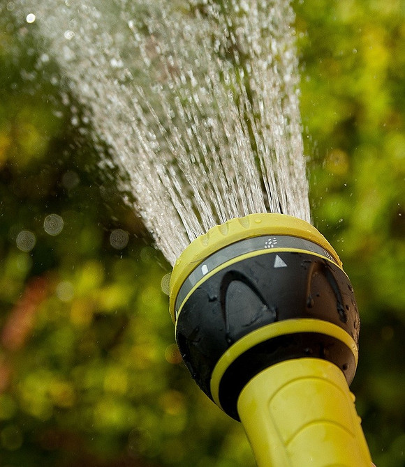 Що робити, якщо кабачки почали гнити: ефективні способи боротьби з гниллю.