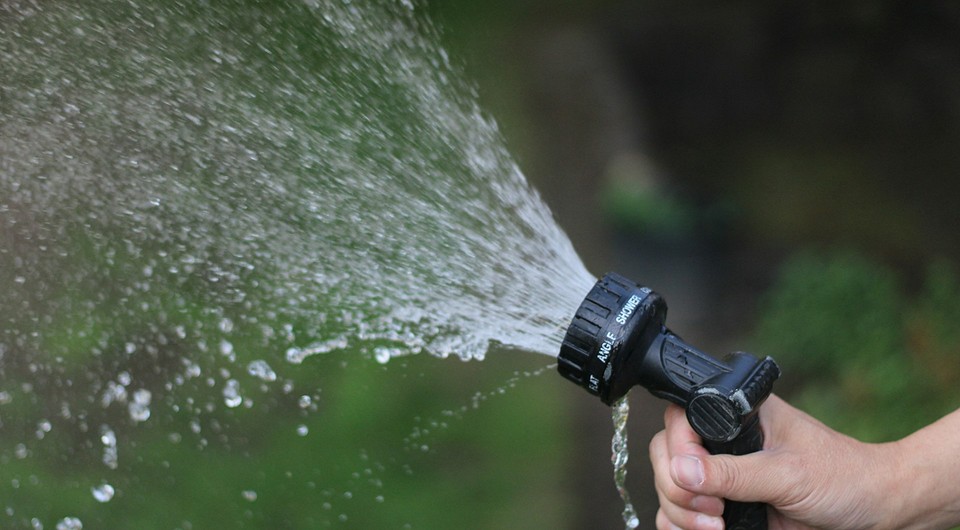 Полив городу холодною водою: наслідки для рослин та врожаю 2026