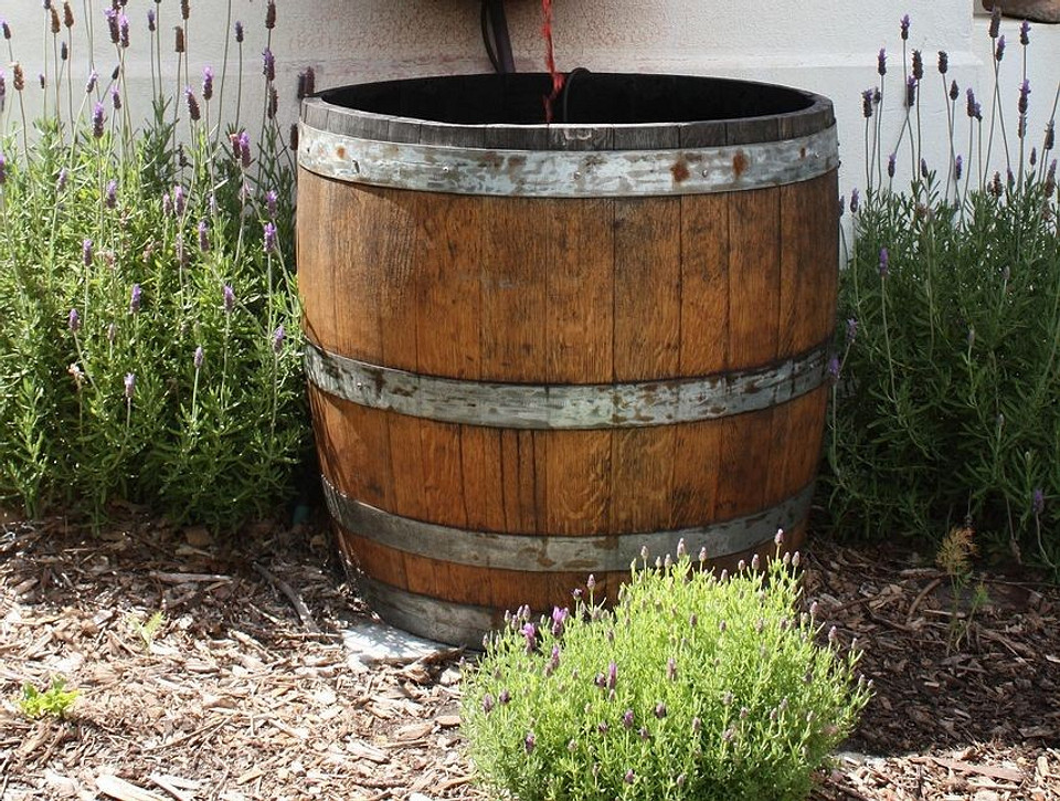 Захист від стресу: правильний полив городу в спеку влітку 2026