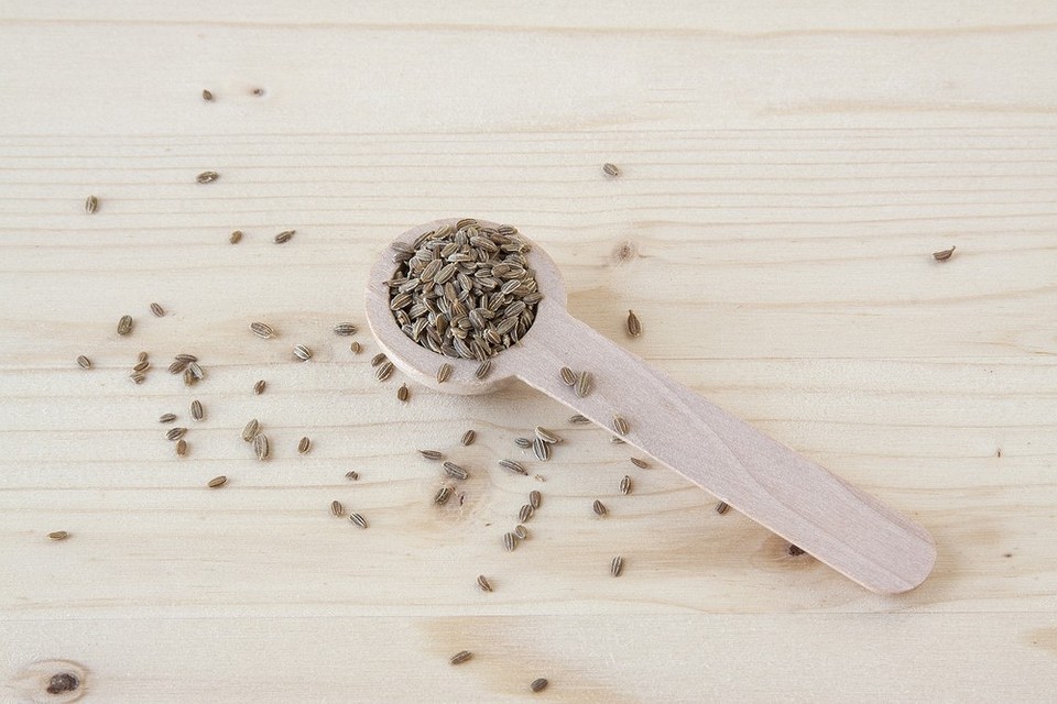 Посів моркви на туалетному папері: легкий та швидкий спосіб для врожаю 2026