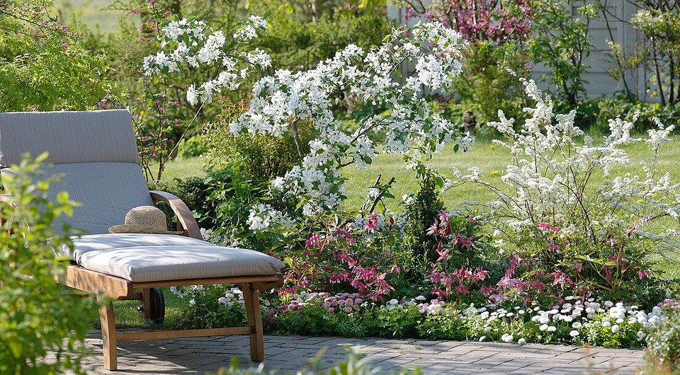 Спірея в ландшафтному дизайні: вибираємо ідеальний сорт спіреї для вашого саду