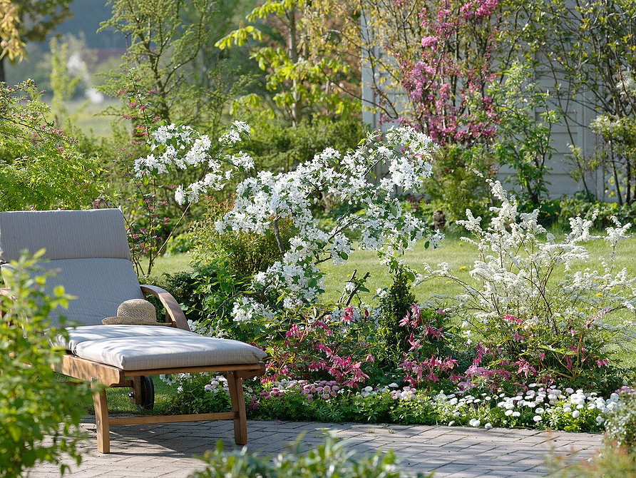 Варіанти дизайну саду зі спіреєю: низькорослі сорти та їх використання в 2026 році.