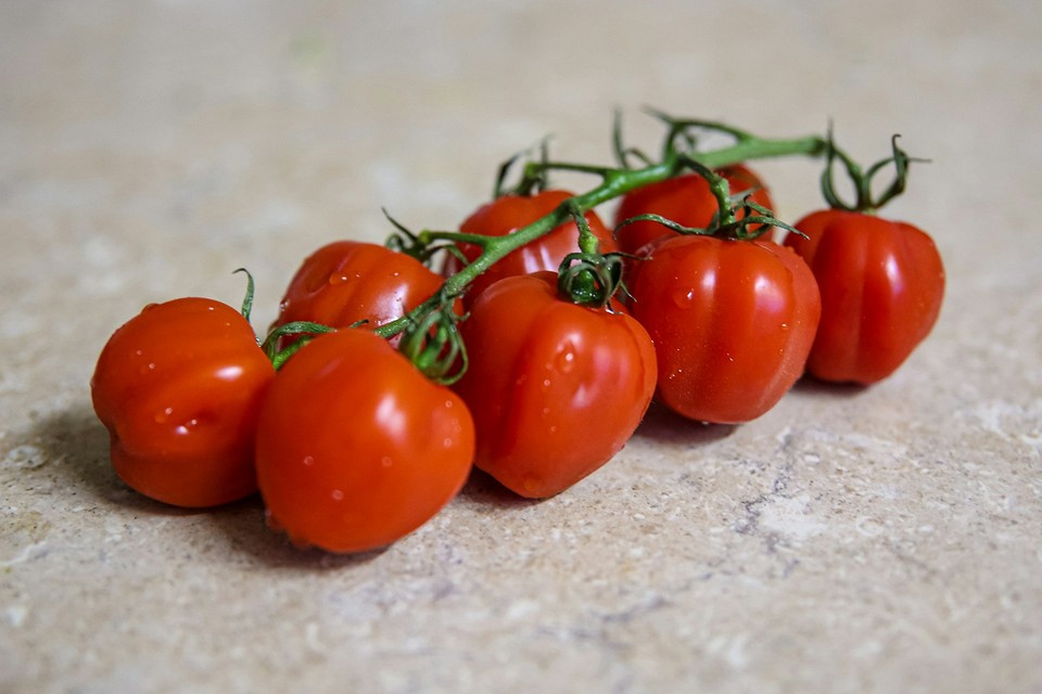 Солодкі томати черрі: вирощуйте найсмачніші сорти у вашій теплиці 2026 року.