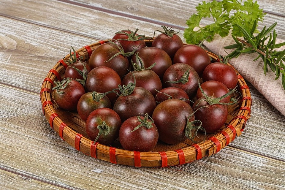 Томати черрі для теплиці: вирощування солодких та стійких до хвороб сортів у 2026 році.