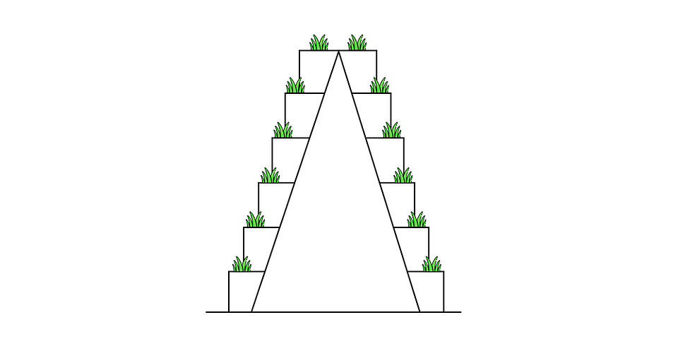 Вертикальні грядки для полуниці своїми руками: вибір сортів для оптимального вирощування