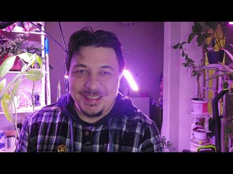 LED-лампи для квітів: як виростити квітучий сад вдома? - 12 - SeWerIn