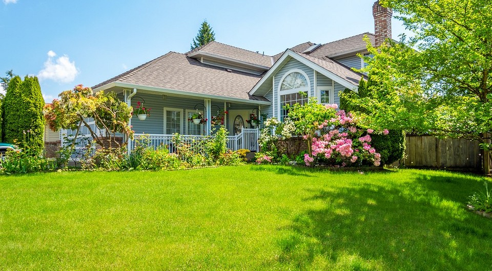 Високі декоративні кущі для саду: ідеальний вибір для ландшафтного дизайну в 2026 році.