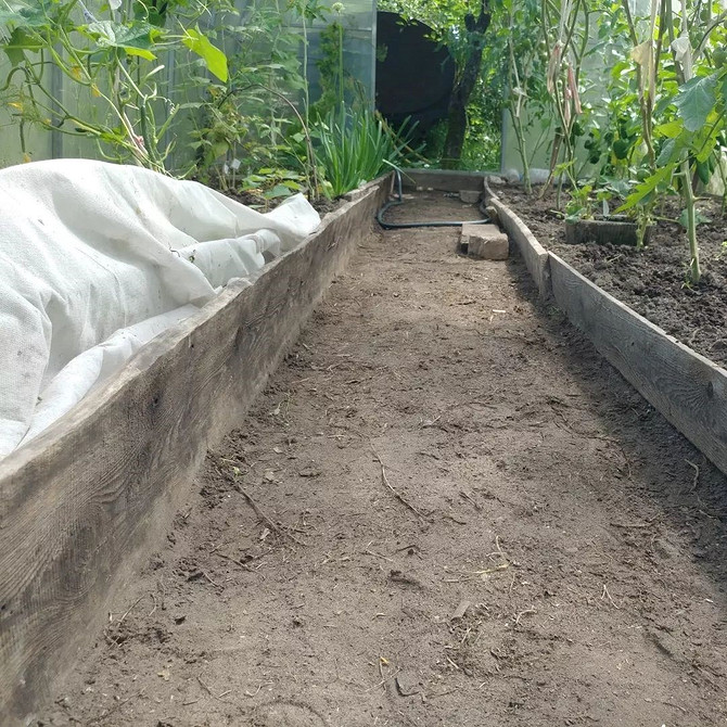 Кам'яні доріжки: довговічність Доріжки в теплиці, вимощені каменем, для довговічності та практичності.