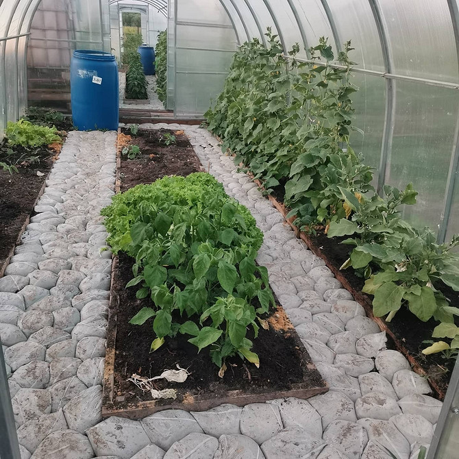 Бетонні доріжки: надійність Доріжки в теплиці з бетону, надійне та міцне рішення для тривалого використання.