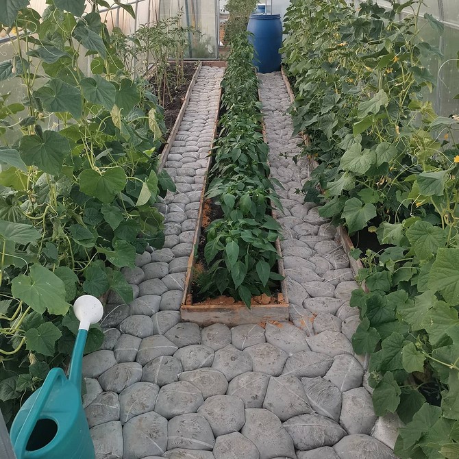 Гумові доріжки: комфорт Організація доріжок в теплиці з використанням гумового покриття, безпека та комфорт.