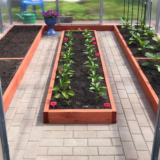 Цегляні доріжки: класика Доріжки в теплиці з використанням цегли, класичний та перевірений часом матеріал.