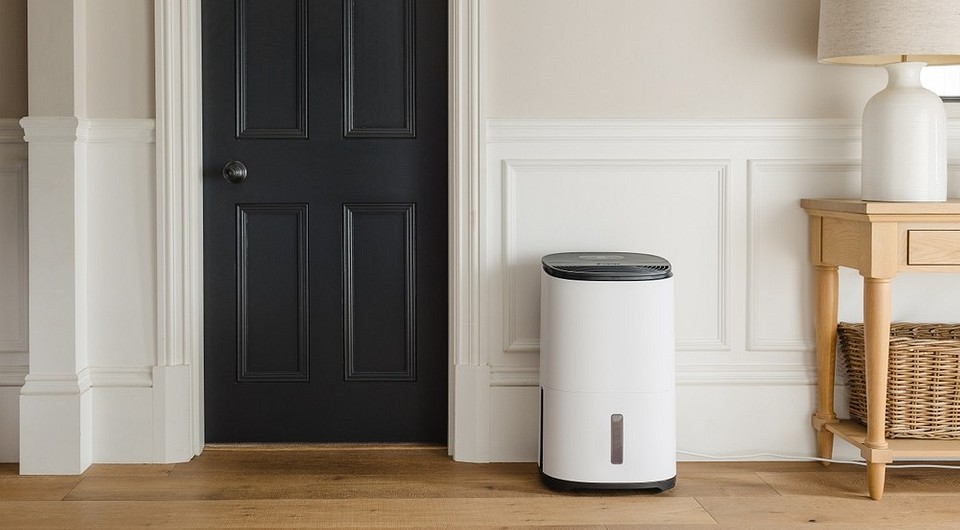 Осушувач повітря для дому: важливість вибору правильного пристрою для боротьби з цвіллю.