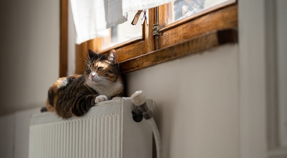 Опалення 2026: підготовка триває Підготовка до опалювального сезону: перевірка труб та обладнання для тепла в 2026