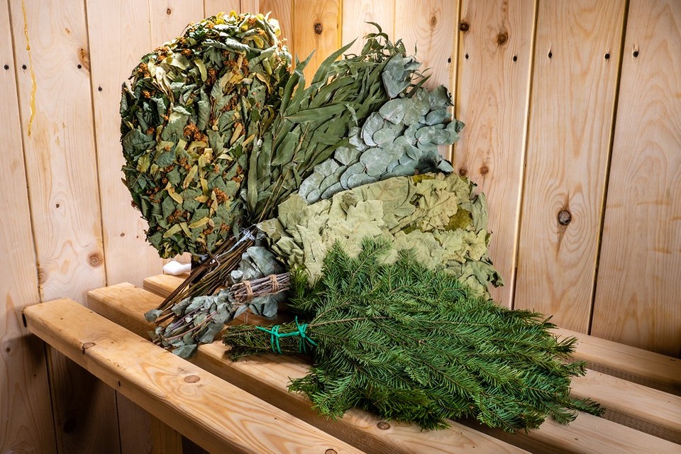 Дубовий віник: міцність Процес заготівлі дубових віників для бані: вибір гілок