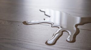 Вологостійкий ламінат: як обрати і захистити підлогу на кухні — Вологостійкий ламінат