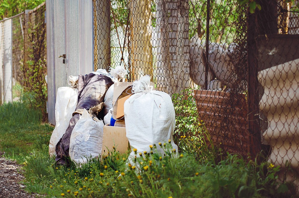 Заборонені рослини: не вирощуйте! Вирощування заборонених рослин на дачній ділянці: відповідальність та покарання.