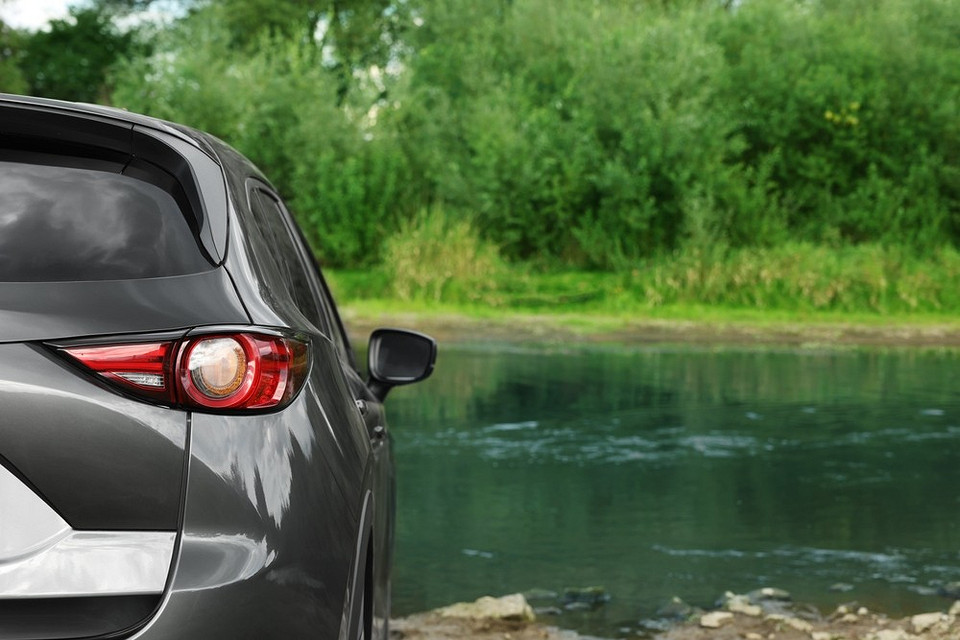 Санітарні норми: комфорт Санітарні норми на дачі: важливість дотримання правил для комфорту та здоров'я.