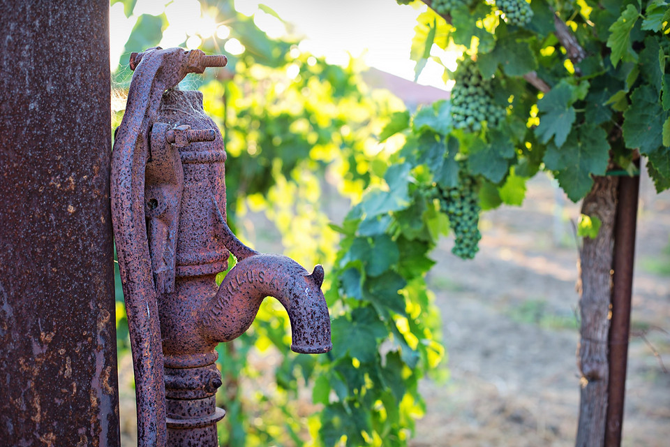 Водоохоронна зона: обмеження Водоохоронна зона: дачні ділянки біля води та можливі обмеження для власників.
