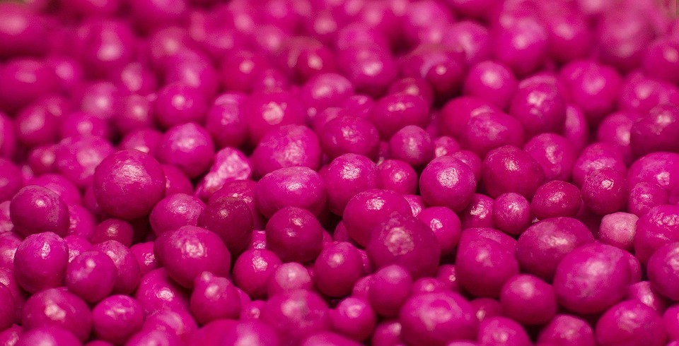 Цвітіння помідорів Рослини помідорів з квітами, що готуються до формування зав'язі.