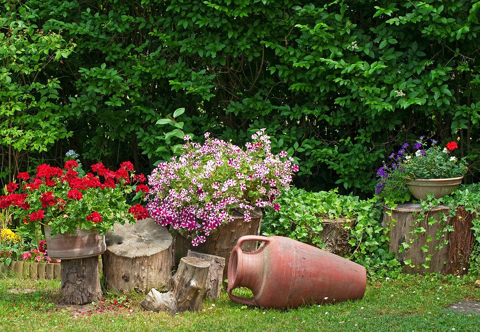 Квіткові композиції з ампельною вербеною, петунією та іншими квітами