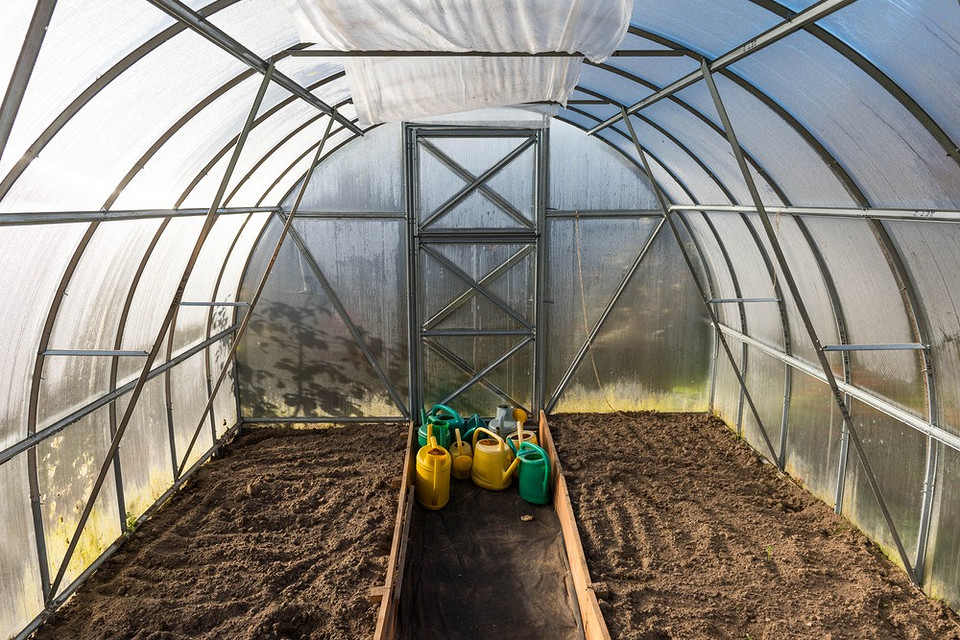 Дезінфекція теплиці Процес дезінфекції теплиці восени із застосуванням спеціальних розчинів для обробки.