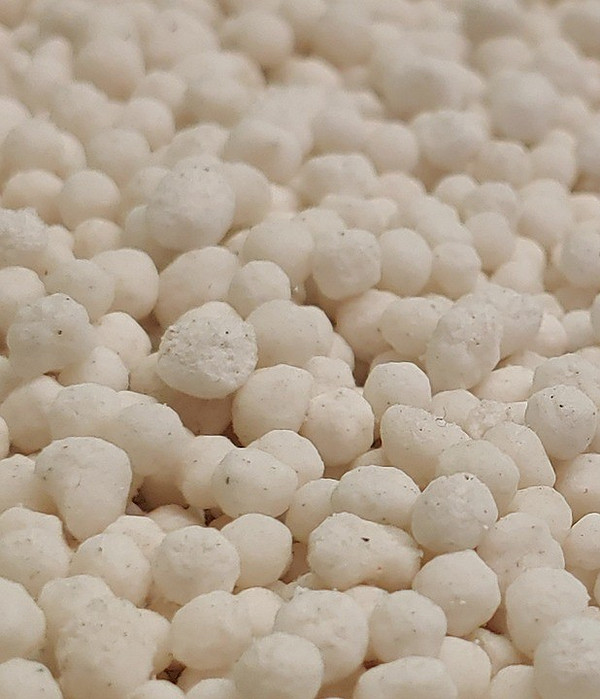 Хімічні добрива для огірків Хімічне підживлення огірків для збільшення врожаю: 8 ефективних добрив