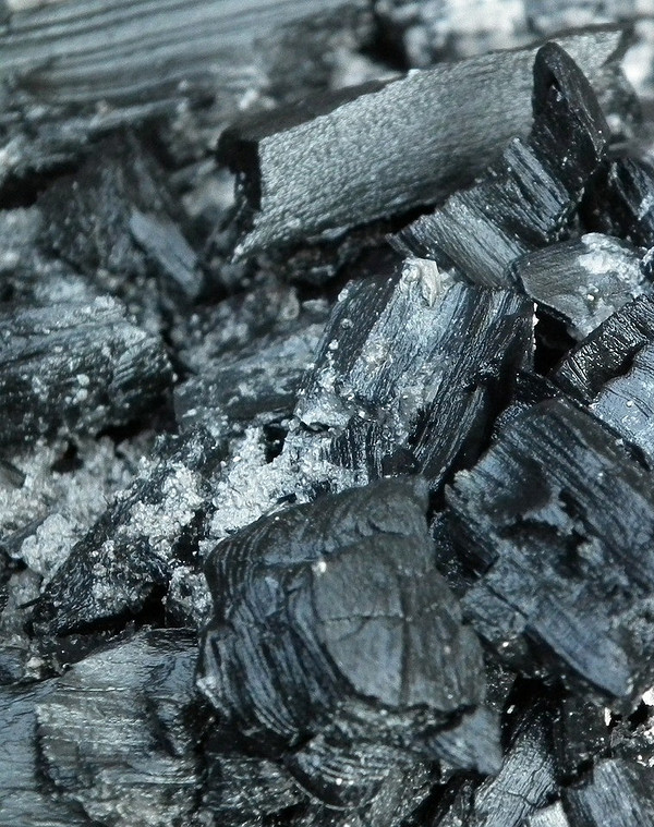 Підживлення огірків у ґрунті Підживлення огірків у відкритому ґрунті: комплексний підхід до вирощування у 2026 році