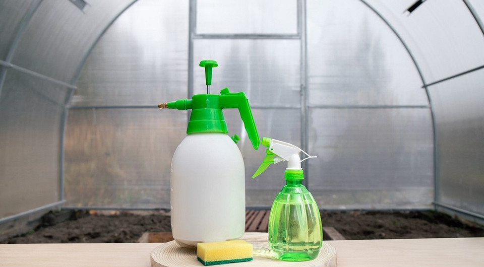 Чистка теплиці восени Жінка в саду очищає конструкцію теплиці від бруду та залишків рослин восени.