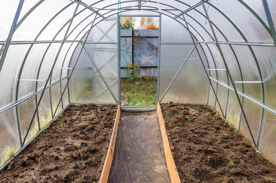 Обробка ґрунту Чоловік обробляє ґрунт у теплиці, готуючи його до зими.