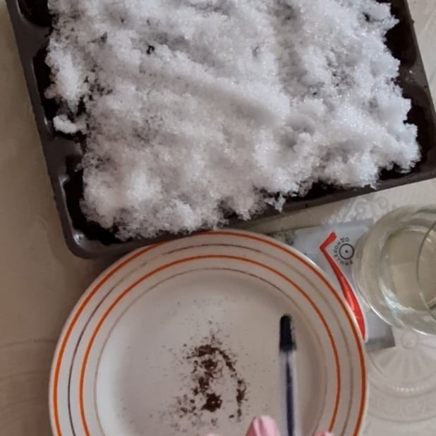 Лобелія: балконний сад Лобелія на балконі, вирощування в контейнерах, догляд у міських умовах