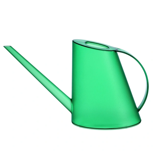 Фікус: Фен-шуй 2026 Фен-шуй для фікуса: залучення достатку, гармонії та позитивної енергії в 2026