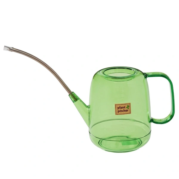 Фікус та достаток 2026 Фікус за фен-шуй: де поставити рослину для залучення достатку в 2026