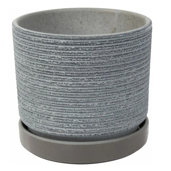 Вибір місця для фікуса Вибір місця для фікуса за фен-шуй: поради для залучення позитивної енергії